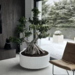 donica na wymiar na bonsai